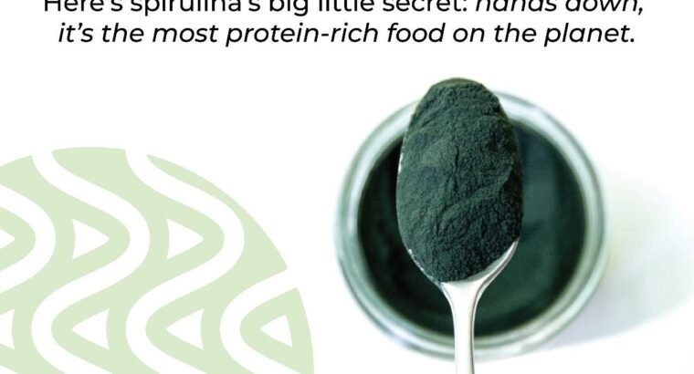 Organic Spirulina Powder – Algabrew