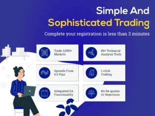 Trading in Financial Market | PFH Markets