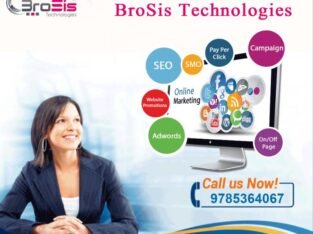 Seo company in Jaipur