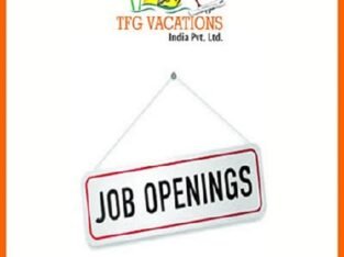 Work for a Travel Website for Few Hours