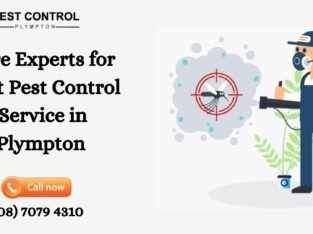 Get Superior Pest Control Services in Plympton