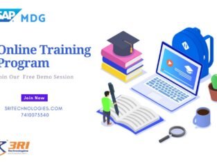 SAP MDG Training