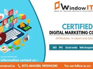 Digital Marketing Best Training in Chandigarh