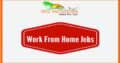Direct Marketing Income From Home