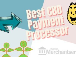 Looking for the best CBD Payment processor?