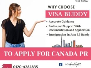 Best Visa Consultants | Visa Buddy