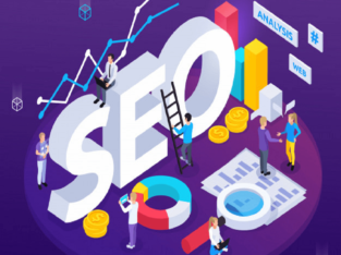 Best SEO Company in India | Search Engine Optimizations Services | Plethora IT Solutions