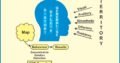 NLP Online Courses for Executive and Professionals