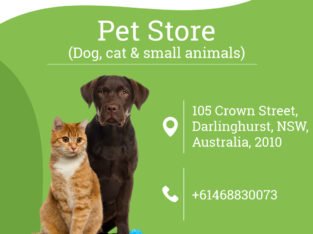 Pet stores in Darlinghurst are gaining attention from customers worldwide
