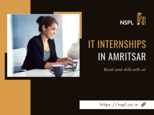 IT Internships in Amritsar