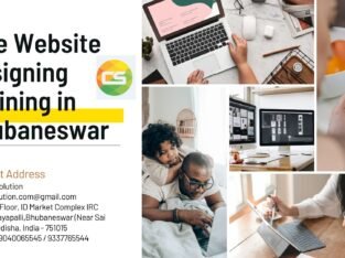 Live Website Designing Training in Bhubaneswar