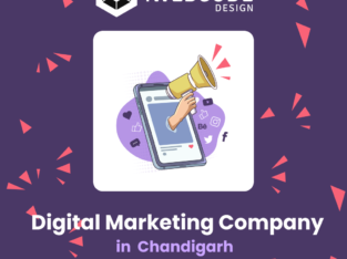 Digital Marketing Company in Chandigarh