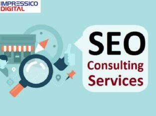 Looking for a SEO Consulting Services in Delhi NCR | Call 120-419-0000
