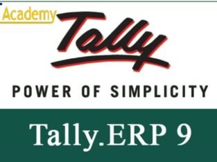 Best Tally Training institute in Noida- GVT Academy