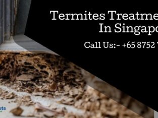 Termites Control Services Singapore