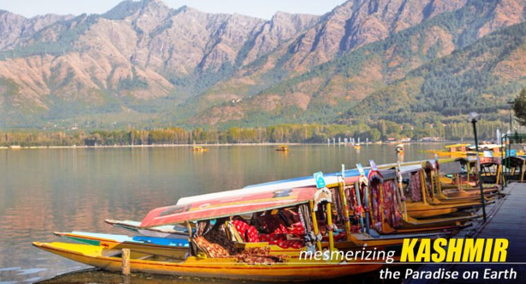 Amazing Kashmir Tour Package from Kolkata – NatureWings