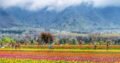 Amazing Kashmir Tour Package from Kolkata – NatureWings