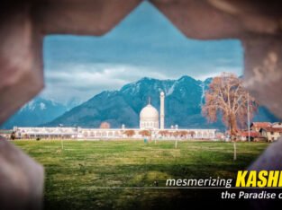 Amazing Kashmir Tour Package from Kolkata – NatureWings