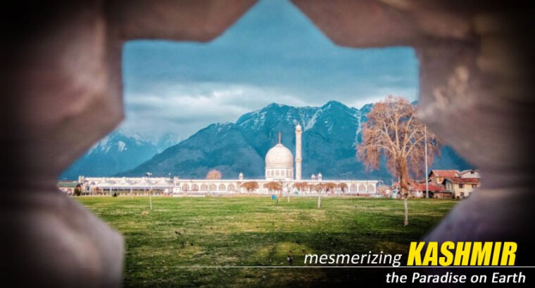 Amazing Kashmir Tour Package from Kolkata – NatureWings