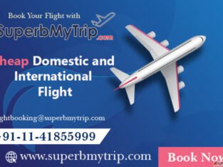 Delhi to Bangalore Flights