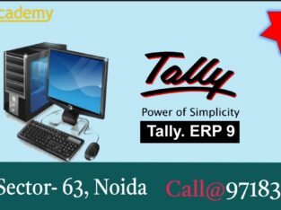 Tally Training institute in Noida-GVT Academy