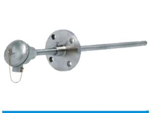 MTR11 Protection Tube RTD Assemble – Flanged | MIEPL