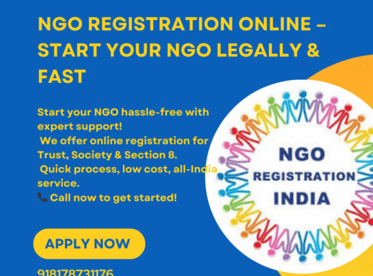 Secure Your NGO Certificate with Expert Assistance