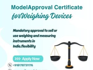 Fast Model Approval for Weighing Machines