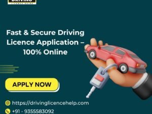 Fast & Secure Driving Licence Application – 100% Online