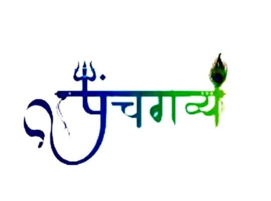 Take Herbal Shaving Cream with ayurved product | Panchgavya