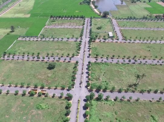 Real estate developers in mominpet