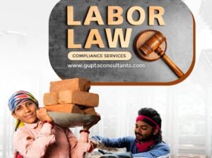 Trusted Labour Laws Compliance Experts – PAN India Services by Gupta & Company Consultants