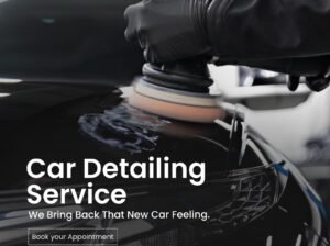 Car detailing products