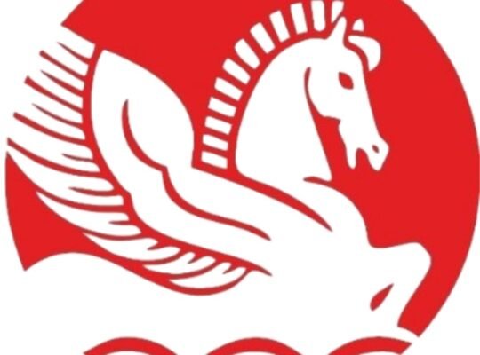 BOPP Bags Engineered for Superior Packaging Performance