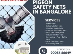 Pigeon Safety Nets in Bangalore