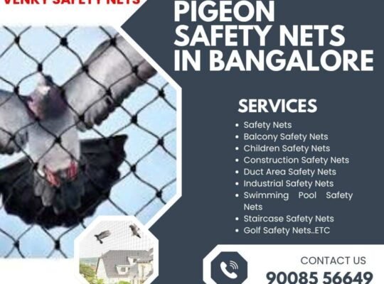 Pigeon Safety Nets in Bangalore