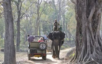 Experience the Wild with Jim Corbett Booking Online Your Gateway to Nature’s Wonderland