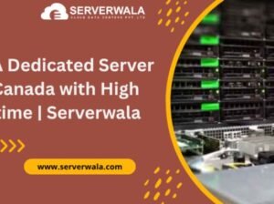 Get A Dedicated Server in Canada with High Uptime | Serverwala