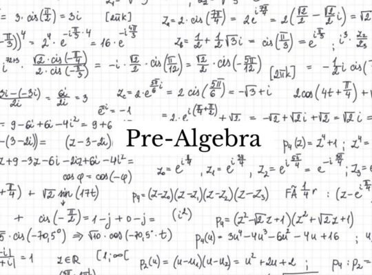 Personalized Pre-Algebra Tutoring Chicago