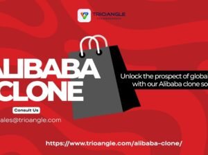 Launch Your Own Global B2B Marketplace with an Alibaba Clone