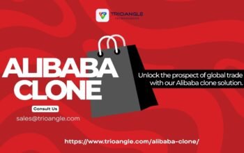 Launch Your Own Global B2B Marketplace with an Alibaba Clone