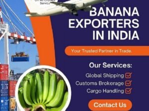 Fresh Indian Bananas – Export Quality, Worldwide Supply