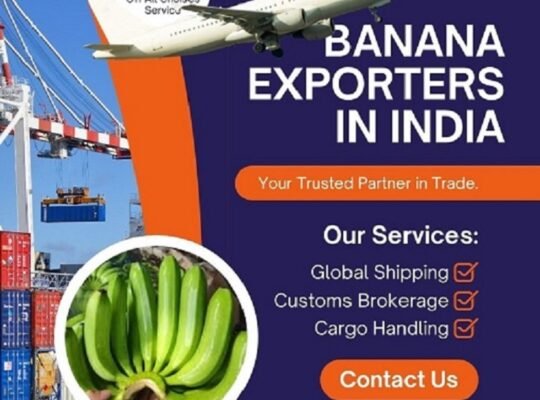 Fresh Indian Bananas – Export Quality, Worldwide Supply
