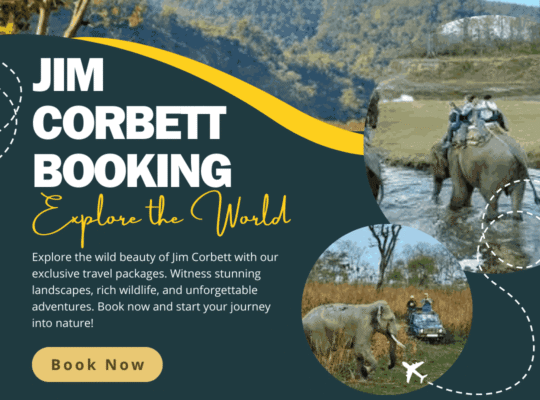 Bijrani Zone Corbett National Park: A Wildlife Lover’s Paradise
