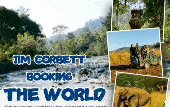 Why Is Corbett Booking Essential for a Perfect Jim Corbett Trip?