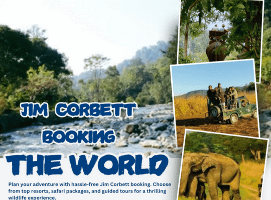 Why Is Corbett Booking Essential for a Perfect Jim Corbett Trip?