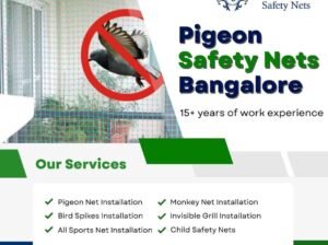 Professional Pigeon Safety Nets Installation in Bangalore – Call Now