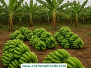 Freshness You Crave, Quality You Deserve – Leading Banana Supplier in India