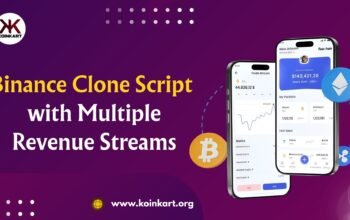 Profitable Binance Clone Script with Multiple Revenue Streams