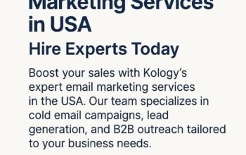 Professional Email Marketing Services in USA – Hire Experts Today